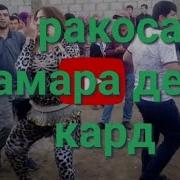 Субхони Умар 2019 Туёна