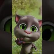 Tiktok Trung Quốc Chú Mèo Tom Siêu Quậy Và Vui Nhộn