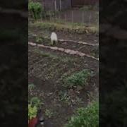 Тунсах