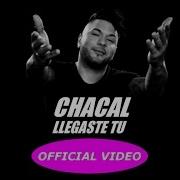 Chacal Llegaste Tú