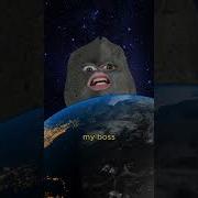 Meteor Hive