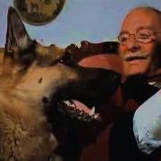 The Call Of The Wild Зов Предков
