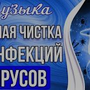 Музыка Против Вирусов И Бактерий
