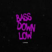 Lupage Bass Down Low There S Some Things You Gotta Know 2024