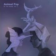 Animal Pop