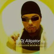 Dj Aligator The Best