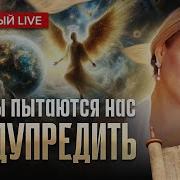 Анастасия Крейсон