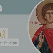 Вопросы Веры И Фомы Слушать