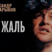 Барыкин Как Жаль