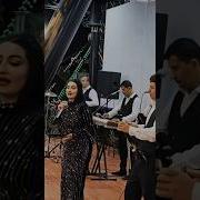 Сурудхои Ошикона