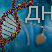 Беовульф Рассказывает Про Отца
