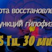 Функции Гипофиза 625 Лечебная Частота