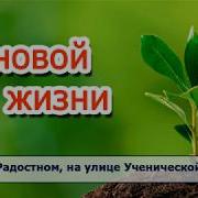 20 К Новой Жизни Христианские Рассказы Диск В Поселке Радостном 2017 Светлана Тимохина