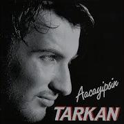 Tarkan Gül Döktüm Yollarına