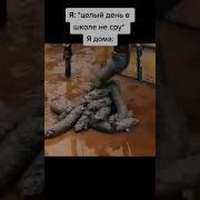 Я Какать Хочу