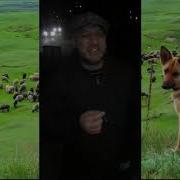 Сборник Анекдотов Дениса Пошлого