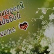 Годовщина Свадьбы 18 Лет Поздравления