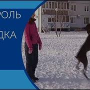 Неуправляемый Доберман Контроль Без Поводка