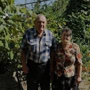 Zoobe Зайка 50 Лет Совместной Жизни