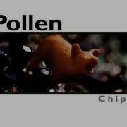 Pollen You Know