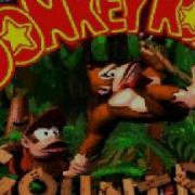 Donkey Kong Country Jungle Music