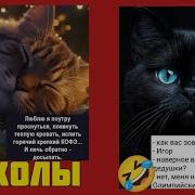 Видео Приколы С Музыкой