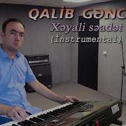 Qalib Genceli