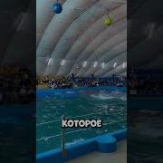 Шаром А Хдо Хорит Кунат