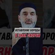 Магомед Хамидов Дийнахь