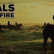 Foals Prelude