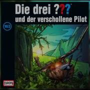 Die Drei Fragezeichen Und Der Verschollene Pilot