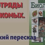 Биология 7 Класс Латюшин Шапкин Тип Членистоногие