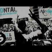 Frontal Afrojack