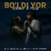 Boldi Yor