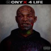 Boom Bash Onyx