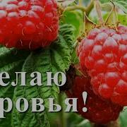 Попрошу Я Здоровья У Господа Песня