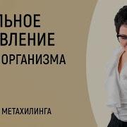 Тотальное Оздоровление Тела