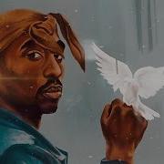 2Pac Reborn