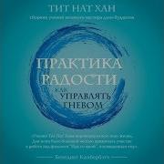 Тит Нат Хан Практика Радости Как Управлять Гневом