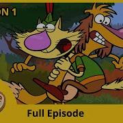 The Boomness Of Nature Cat