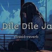 Dile Dile Ja Slowed Lofi Скачать