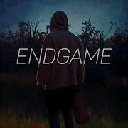 Endgame От Michael Prince