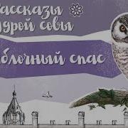 Яблочный Спас Все Серии