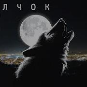 Волчок Маракеш