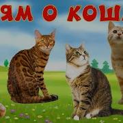 Котики Для Малышей