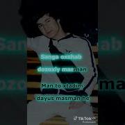 Sevgi Bu Armon Minus