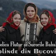 Angelica Flutur Și Surorile Babalean Colinde Din Bucovina Colaj