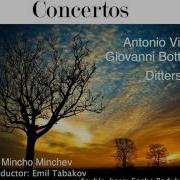 Sinfonia Concertante For Viola Double Bass And Orchestra Ii Andantino