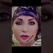 Патимат Маллаева Мерседес Мага