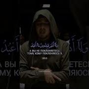Сура Аль Кафирун